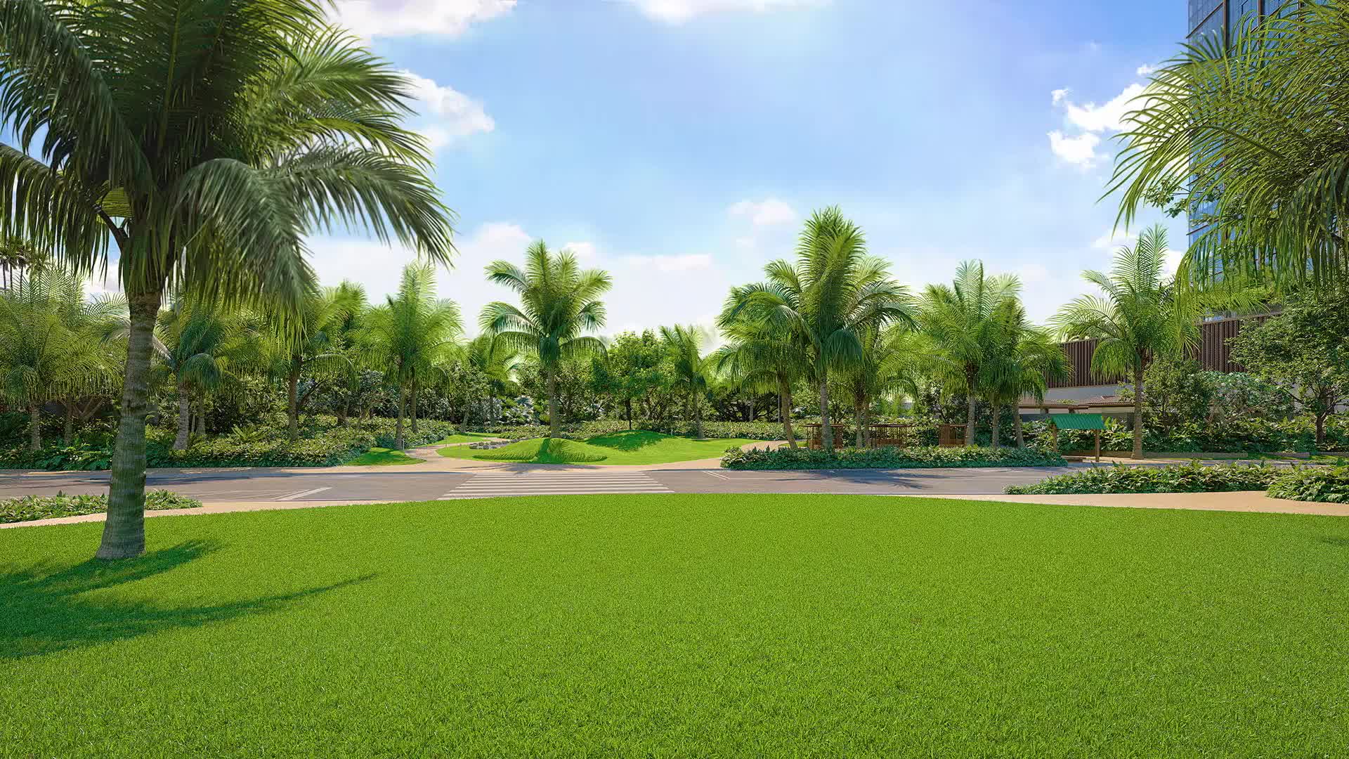 Outdoor shot with green lawn, palm trees, and paved walkway